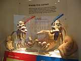 img_1854