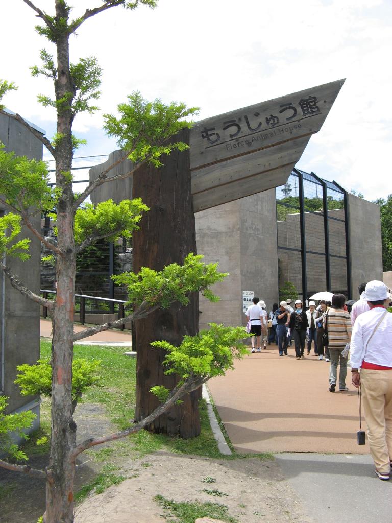 jc0126.jpg