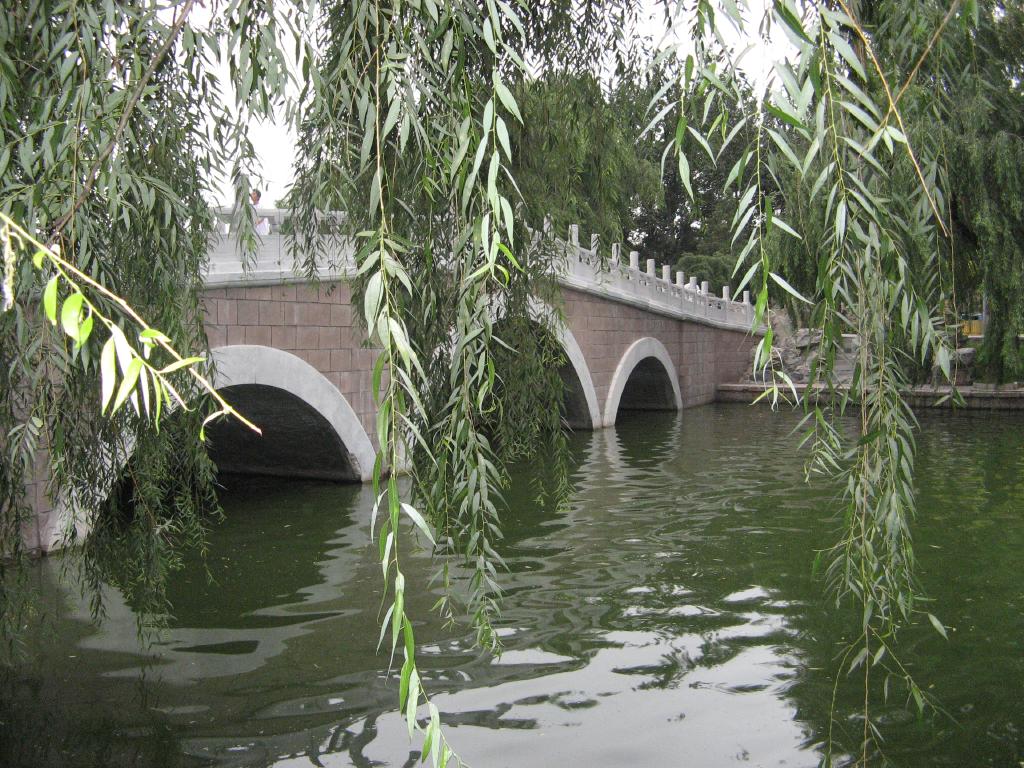 jc0425.jpg