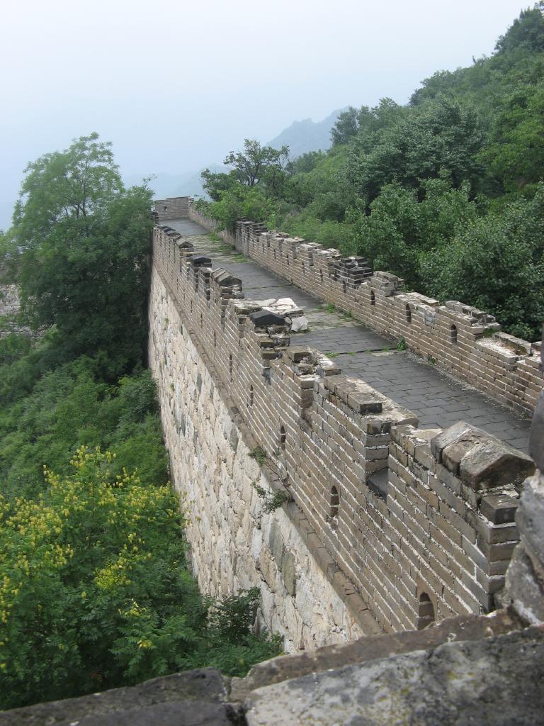 jc0495.jpg