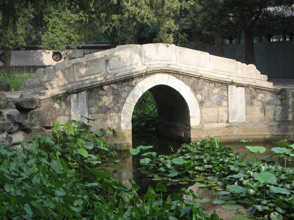 jc0558.jpg