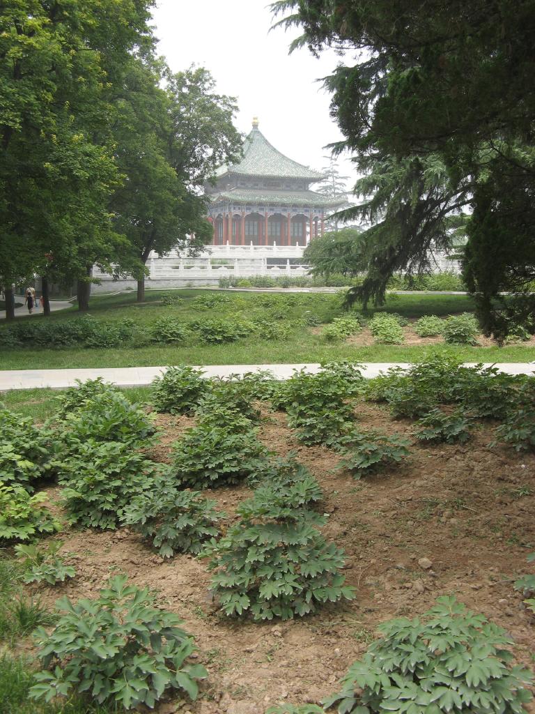 jc0771.jpg