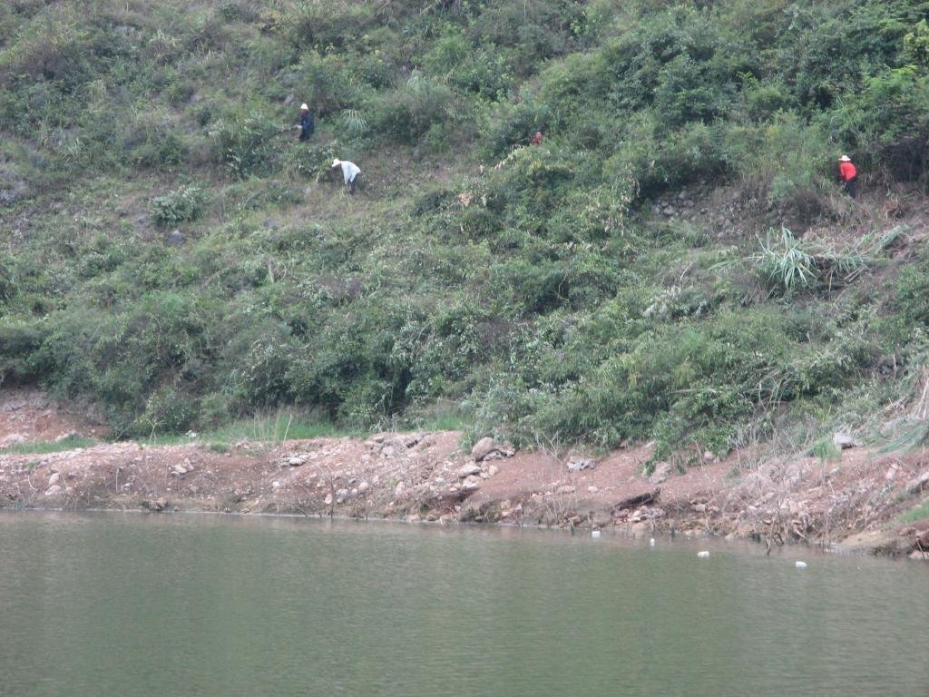 jc0946.jpg