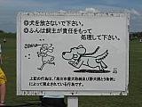 jc0084.jpg