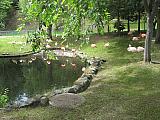 jc0125.jpg