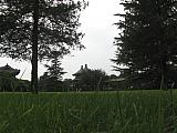 jc0386.jpg