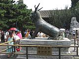 jc0550.jpg