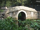 jc0558.jpg