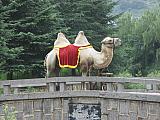 jc0634.jpg