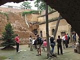 jc0686.jpg