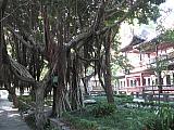 jc0875.jpg