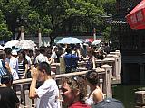 jc1052.jpg