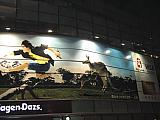 jc1138.jpg